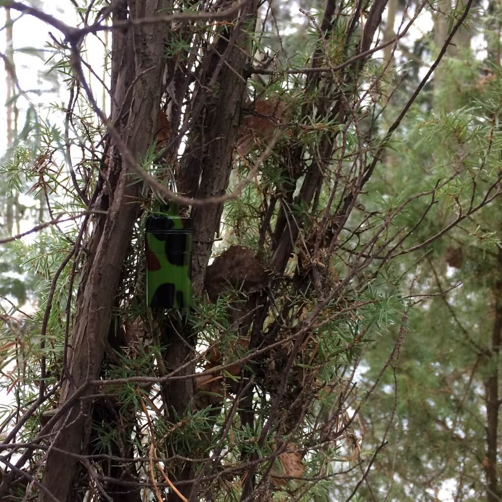 Kätkökapseli "camo" - Image 6
