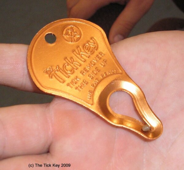 The Tick Key® -punkinpoistin - Image 2